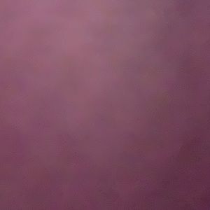 Meet your Posher, Mitzi